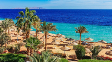 Red Sea Tours